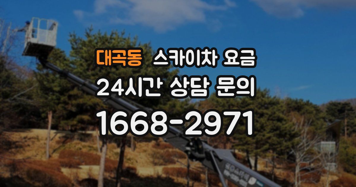 대곡동 스카이차 요금