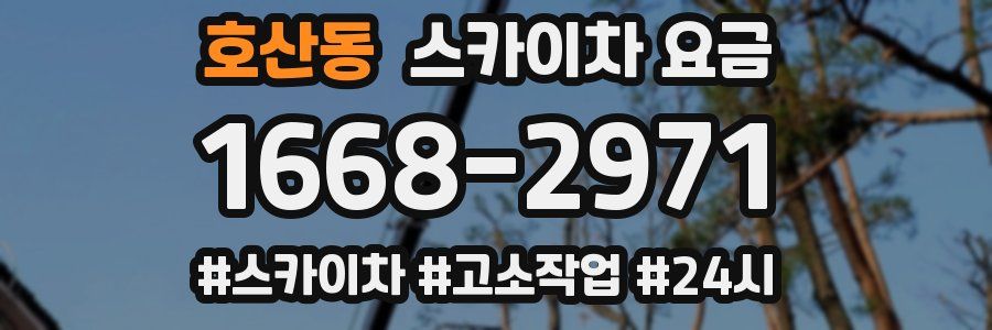 호산동 스카이차 요금