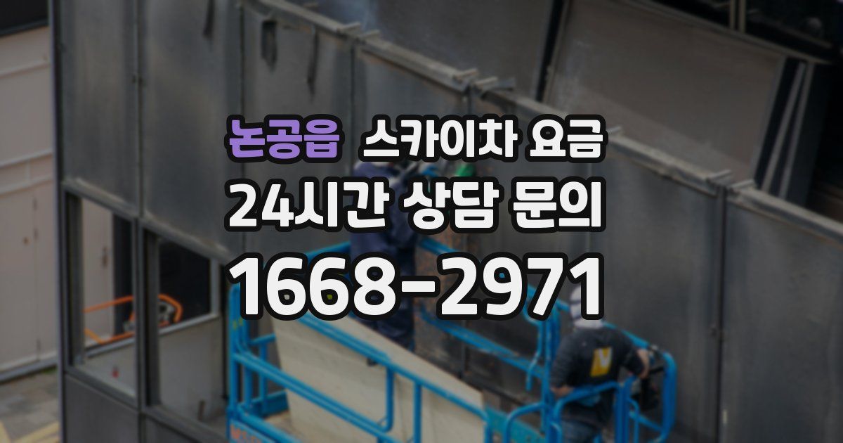 논공읍 스카이차 요금