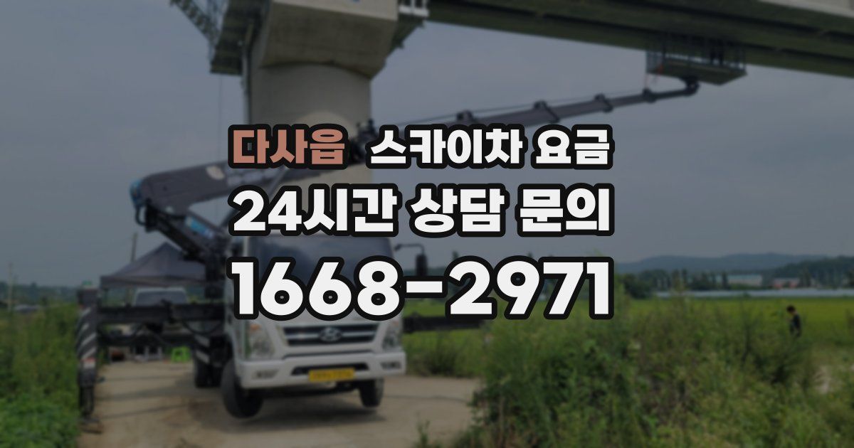 다사읍 스카이차 요금