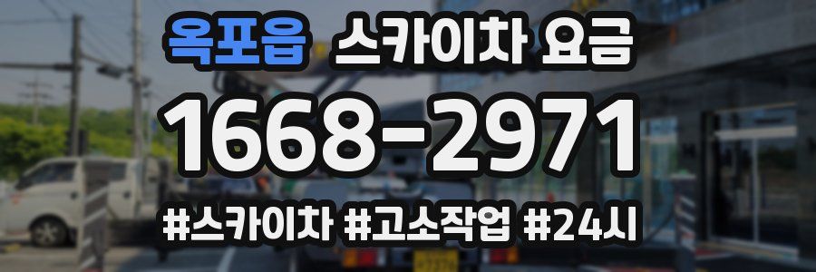 옥포읍 스카이차 요금