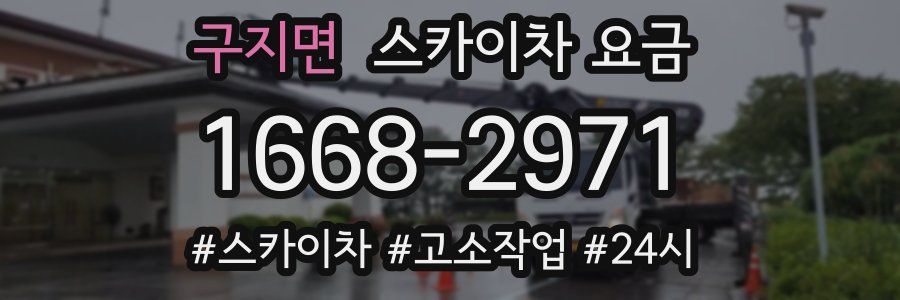 구지면 스카이차 요금