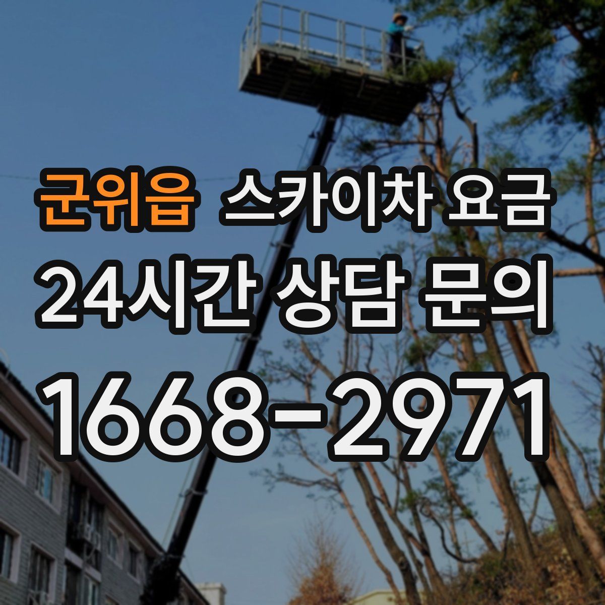 군위읍 스카이차 요금