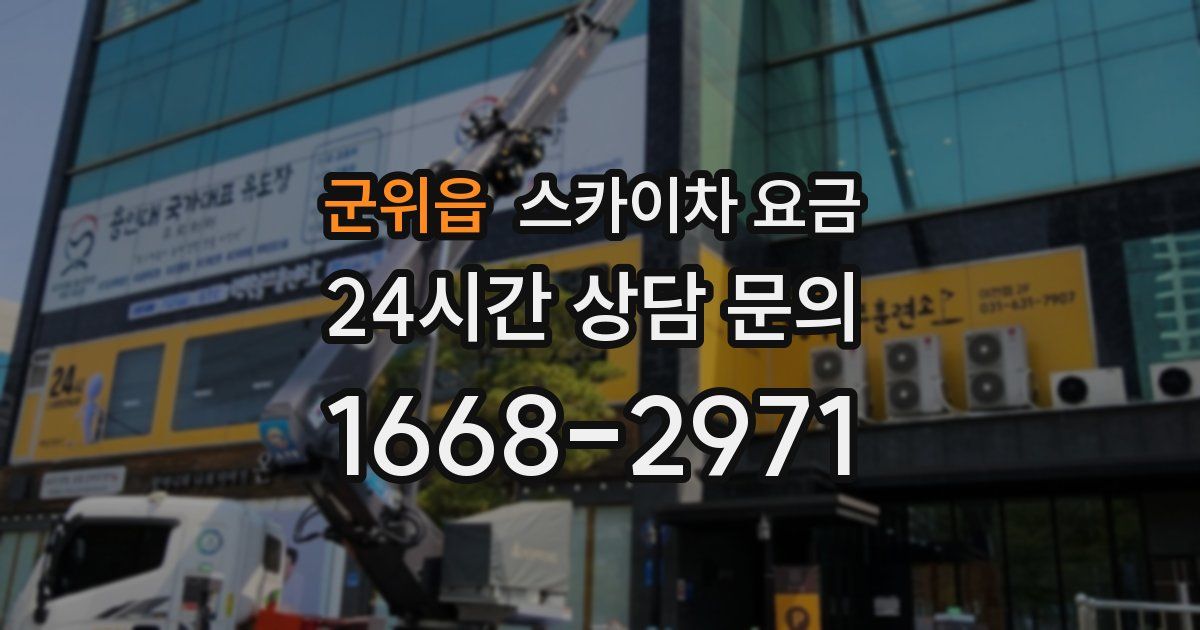 군위읍 스카이차 요금