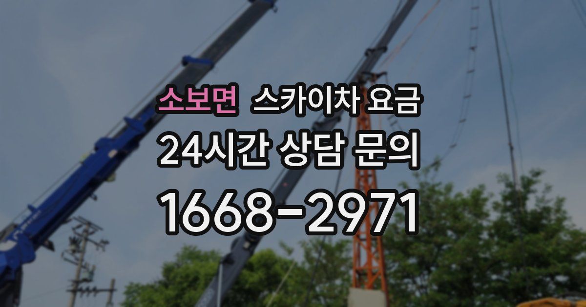 소보면 스카이차 요금