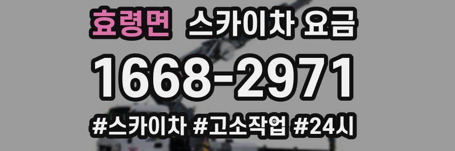 효령면 스카이차 요금