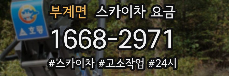 부계면 스카이차 요금