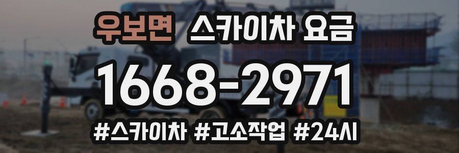 우보면 스카이차 요금