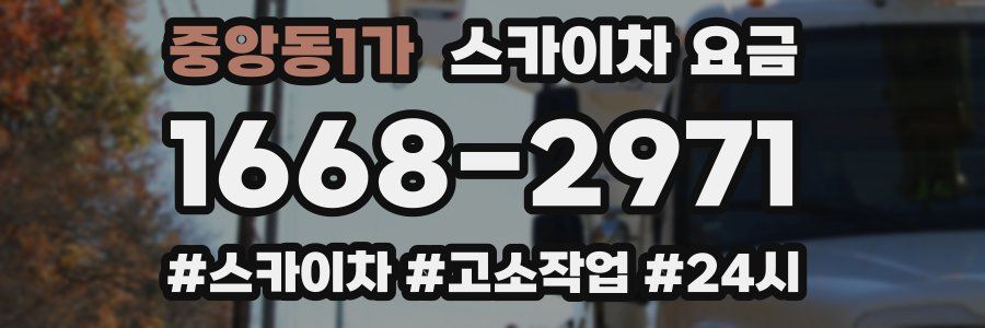 중앙동1가 스카이차 요금