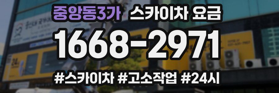 중앙동3가 스카이차 요금
