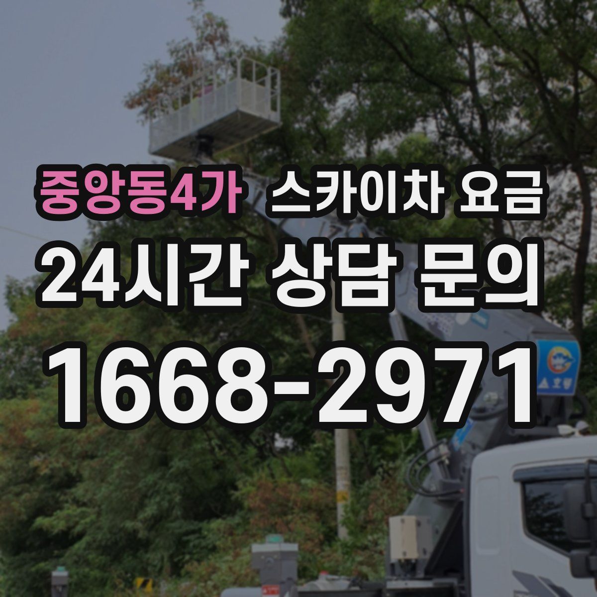 중앙동4가 스카이차 요금
