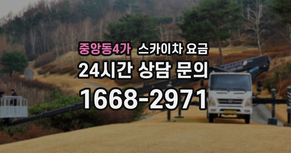 중앙동4가 스카이차 요금