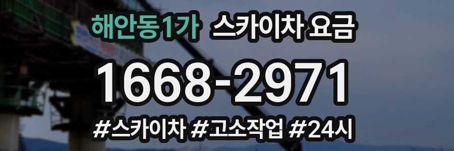 해안동1가 스카이차 요금