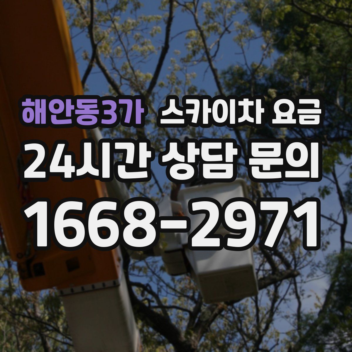 해안동3가 스카이차 요금