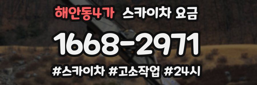 해안동4가 스카이차 요금