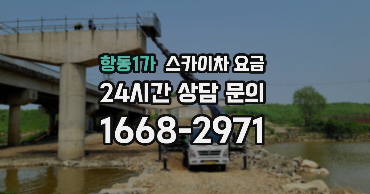 항동1가 스카이차 요금