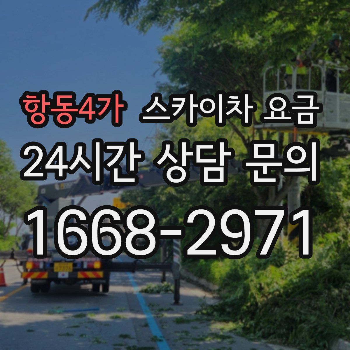 항동4가 스카이차 요금