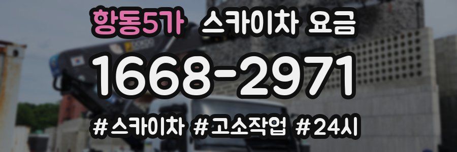 항동5가 스카이차 요금