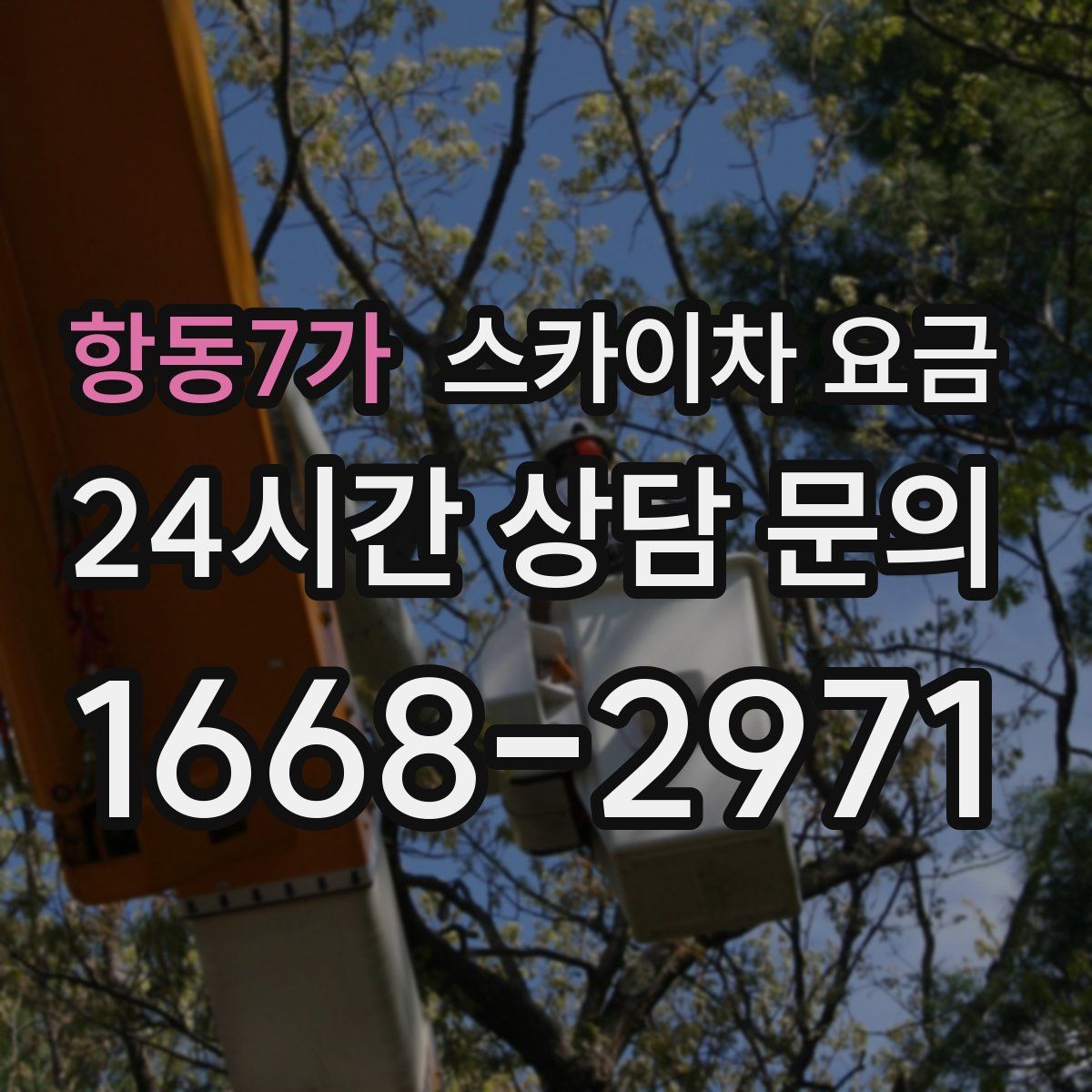 항동7가 스카이차 요금