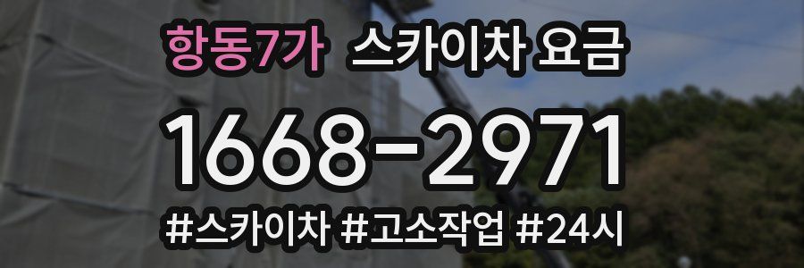 항동7가 스카이차 요금