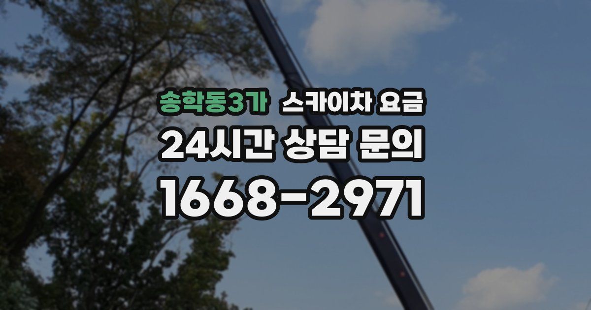 송학동3가 스카이차 요금