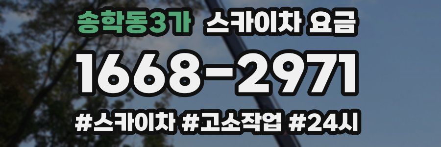 송학동3가 스카이차 요금