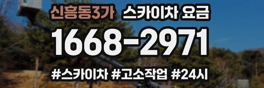 신흥동3가 스카이차 요금