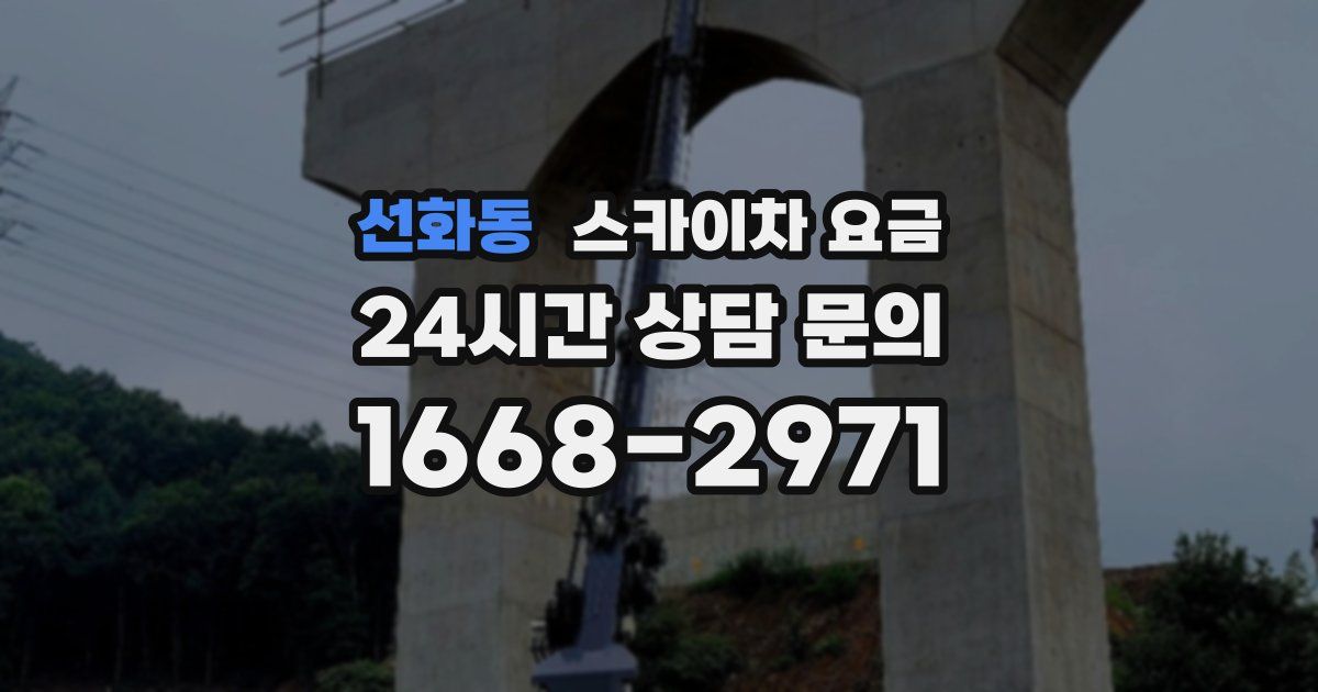 선화동 스카이차 요금