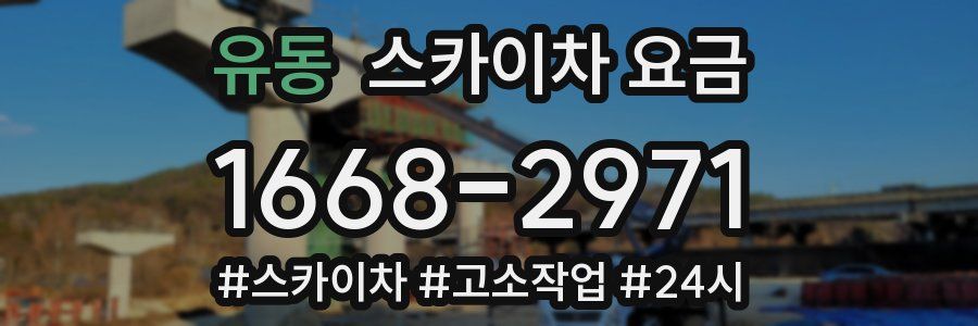 유동 스카이차 요금