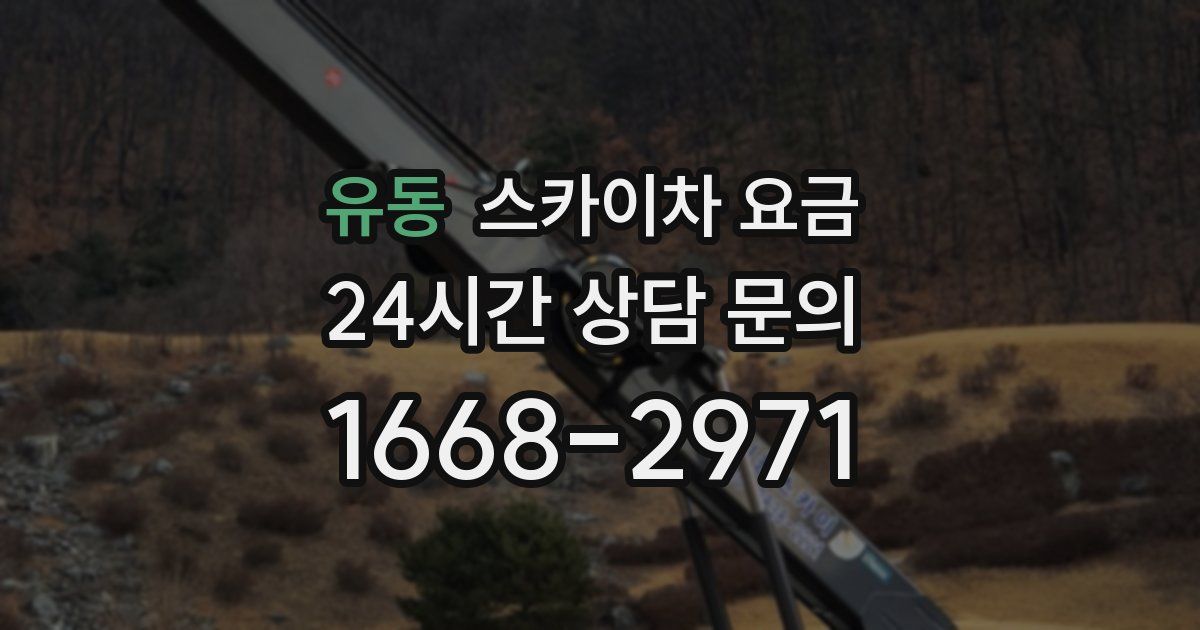 유동 스카이차 요금
