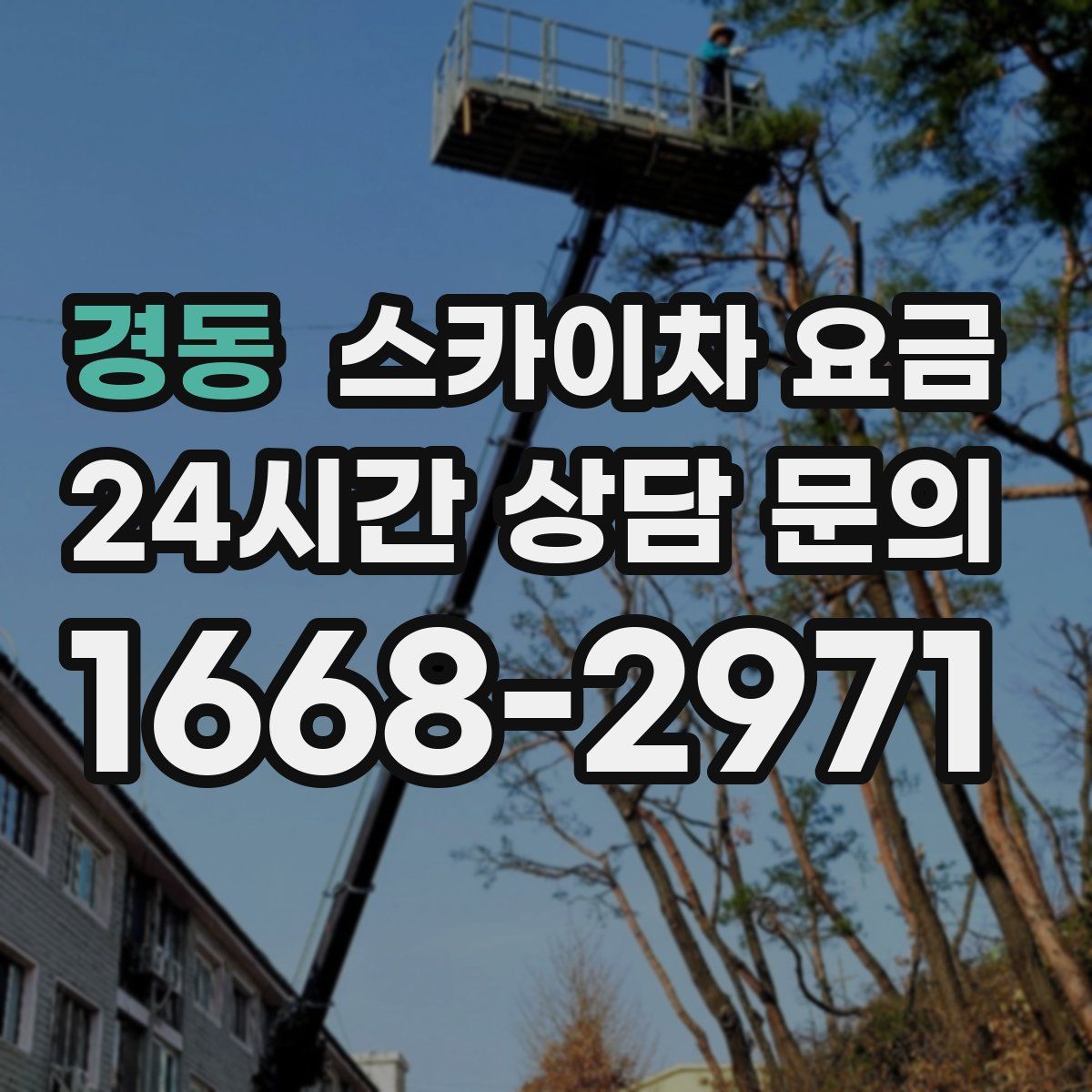 경동 스카이차 요금