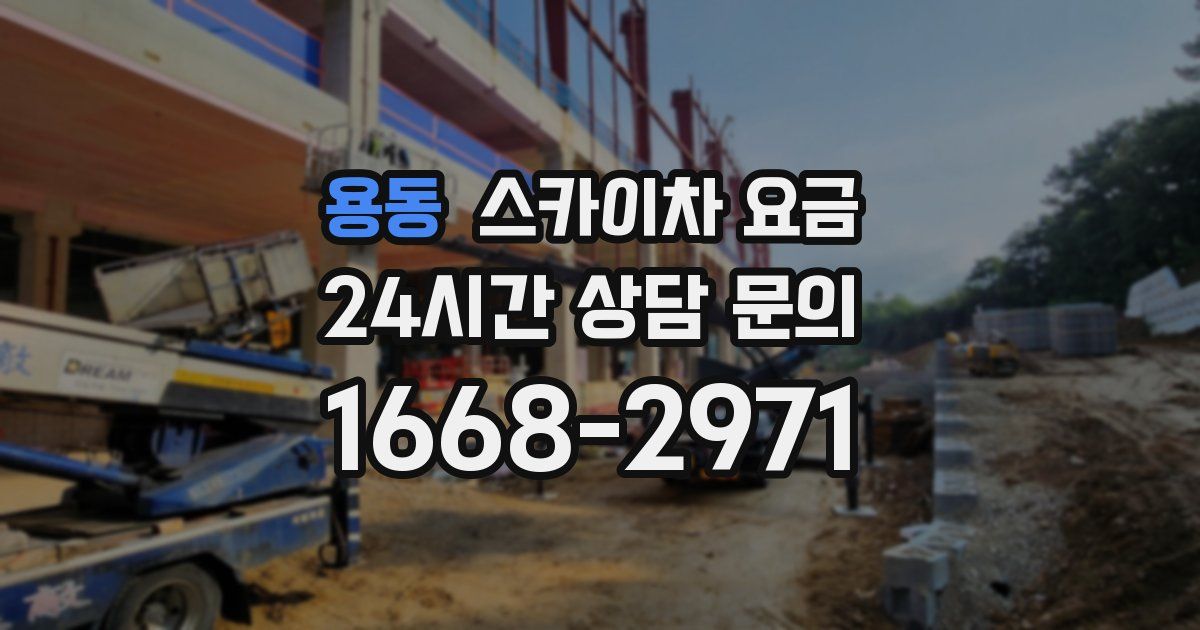 용동 스카이차 요금