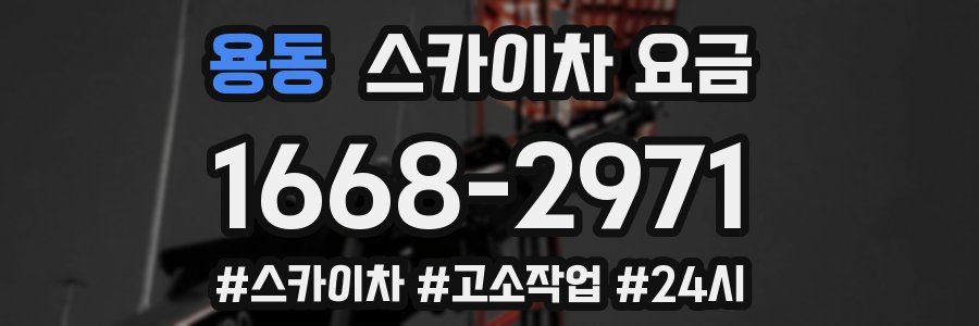용동 스카이차 요금