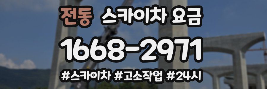 전동 스카이차 요금