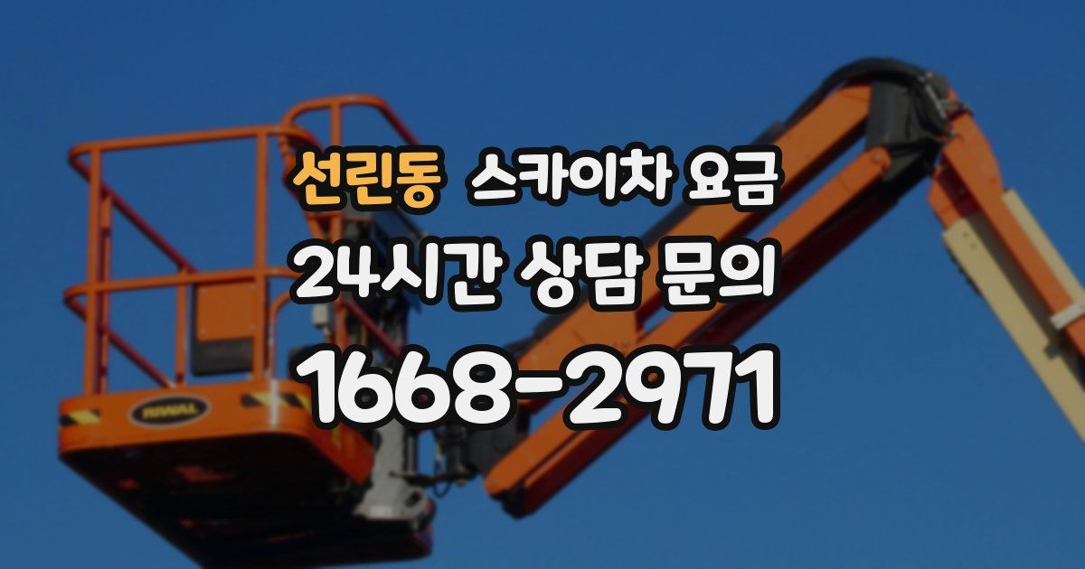 선린동 스카이차 요금