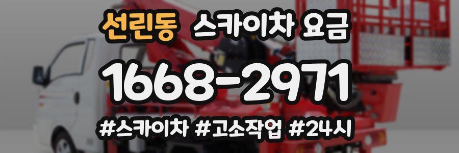 선린동 스카이차 요금