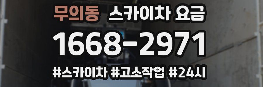 무의동 스카이차 요금