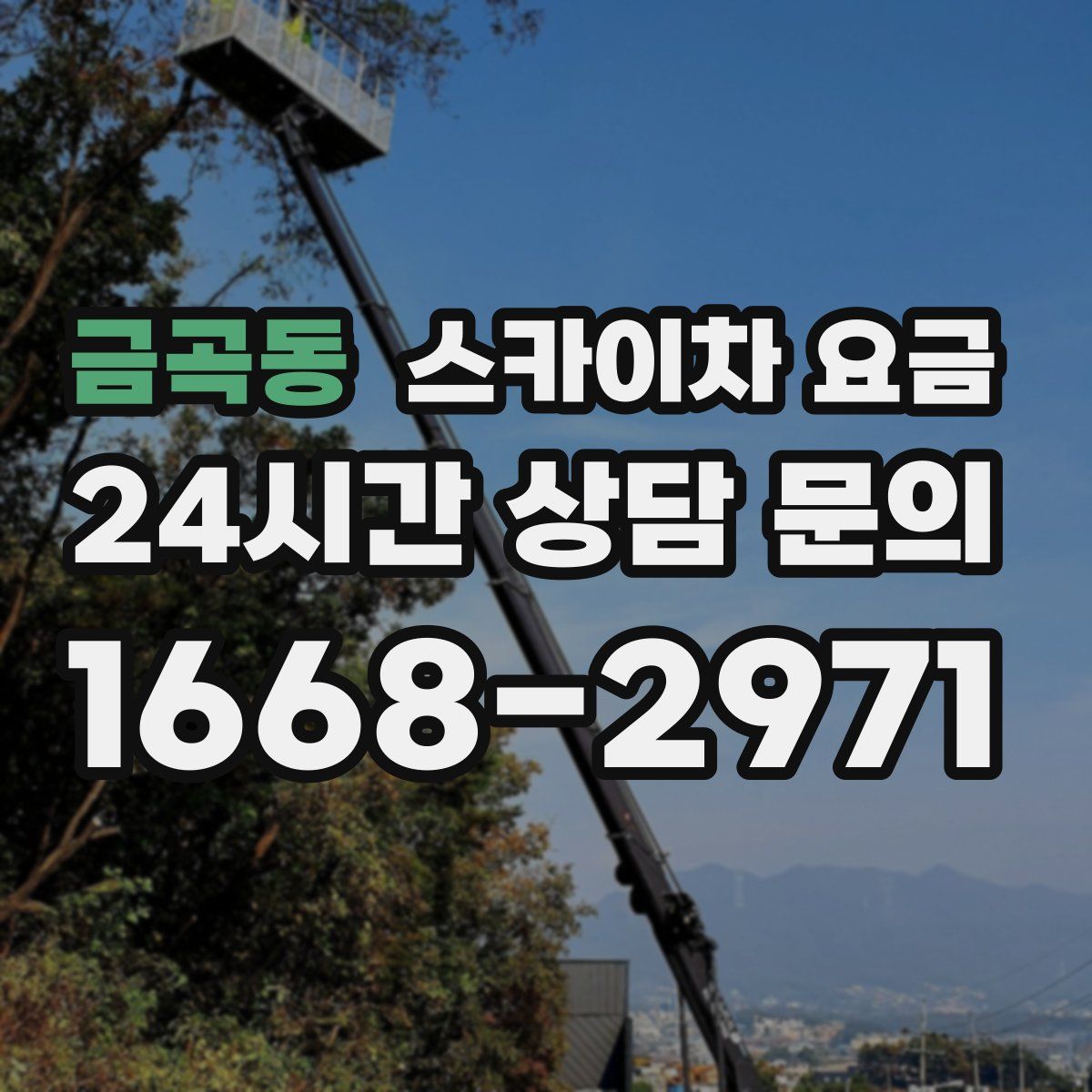 금곡동 스카이차 요금