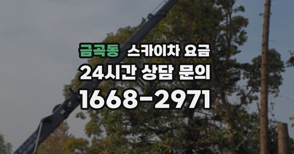 금곡동 스카이차 요금