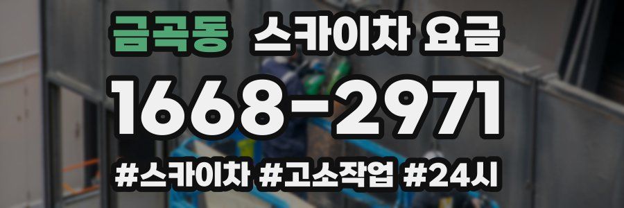 금곡동 스카이차 요금
