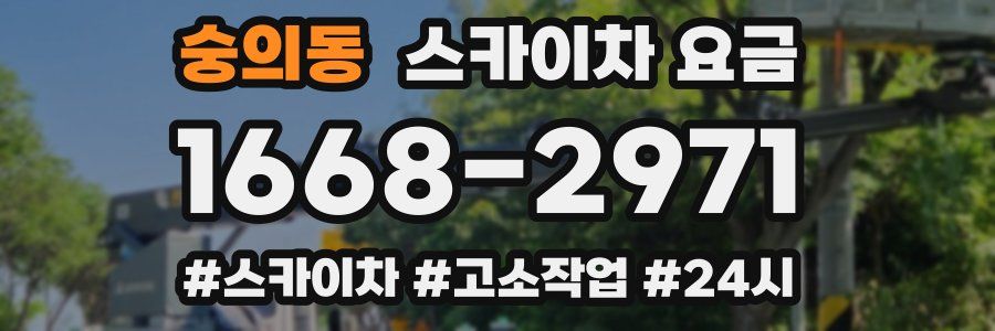 숭의동 스카이차 요금
