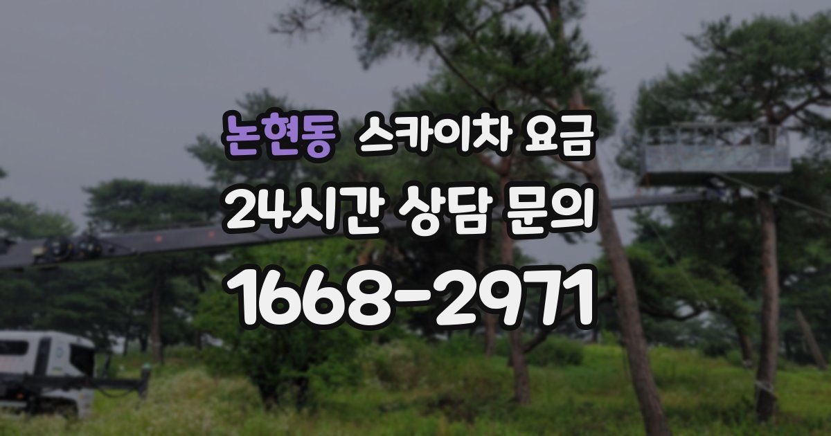 논현동 스카이차 요금
