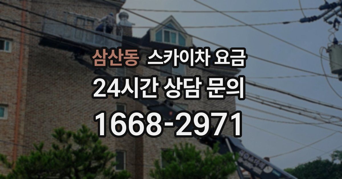 삼산동 스카이차 요금