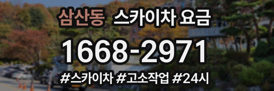 삼산동 스카이차 요금