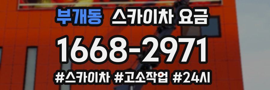 부개동 스카이차 요금