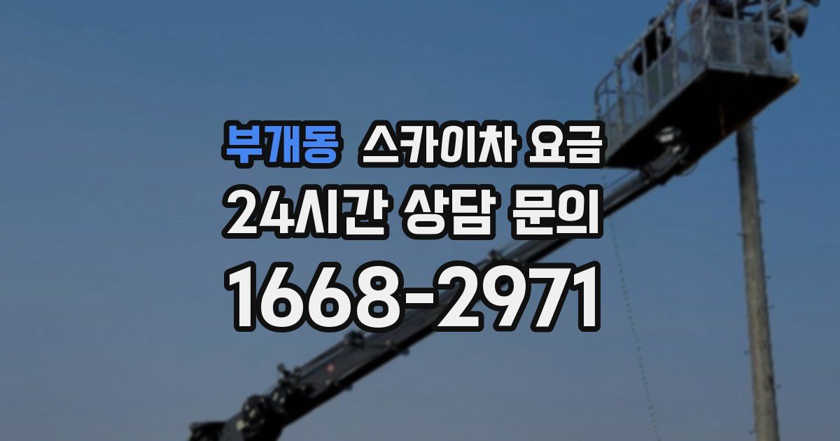 부개동 스카이차 요금