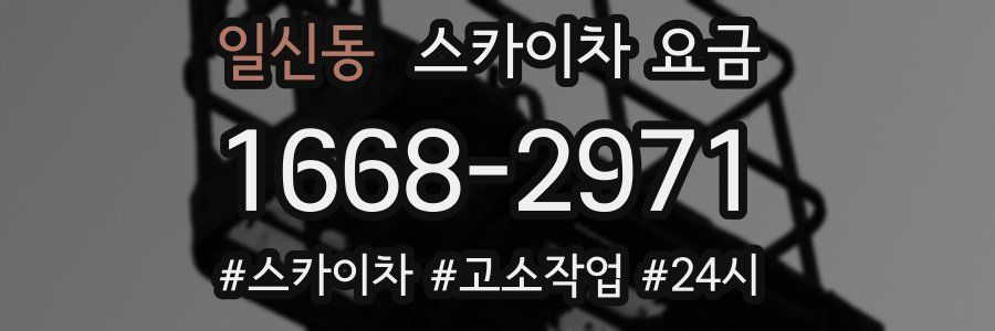 일신동 스카이차 요금