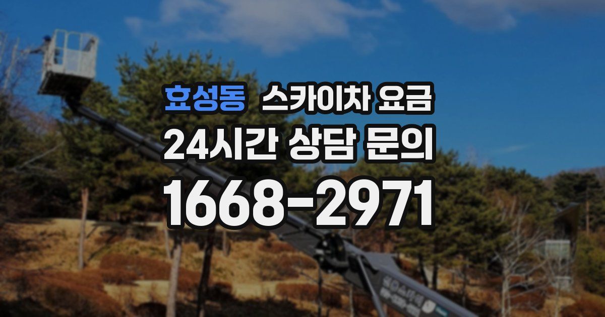 효성동 스카이차 요금