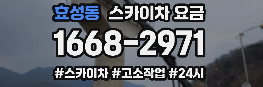 효성동 스카이차 요금