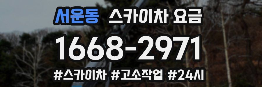 서운동 스카이차 요금